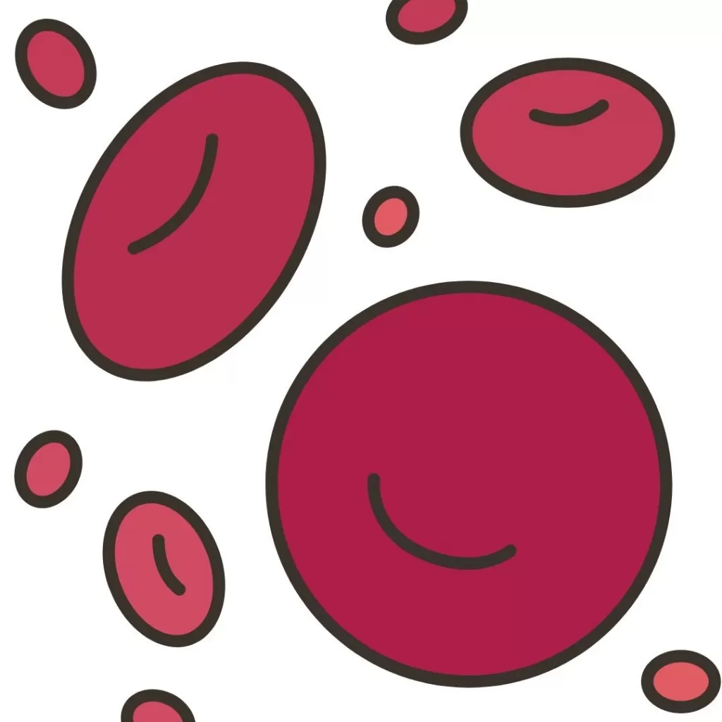 image test